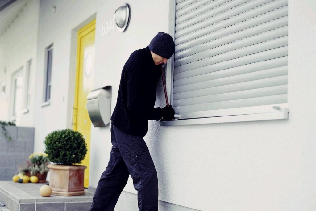 intelli EUROPEA Seguridad